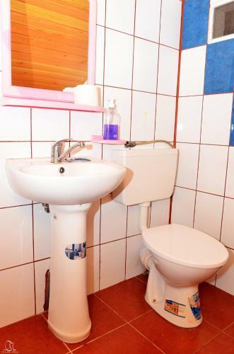 Hostal Pensiunea Deea