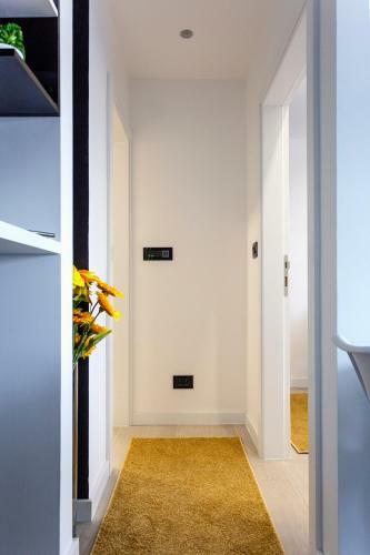 Park Apartment