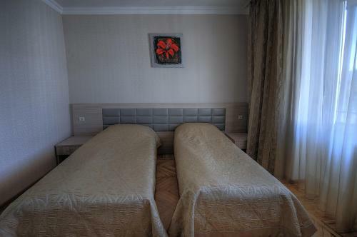 Hotel Pushkinskaya