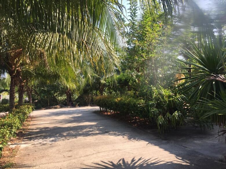Hotel Palm Payom Village Resort