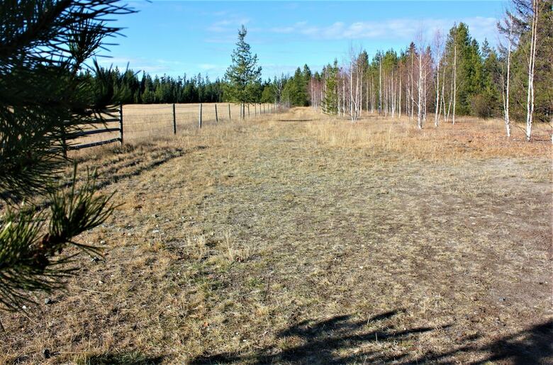 Woodhouse Cottages And Ranch