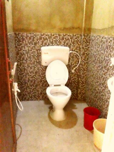 Hotel Roshnai Village Resort