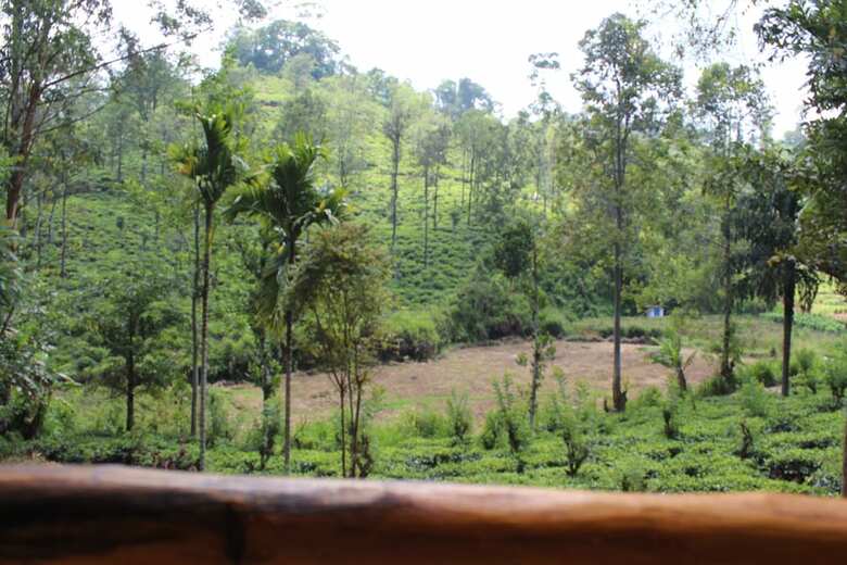 Hotel Ella Eco Domes