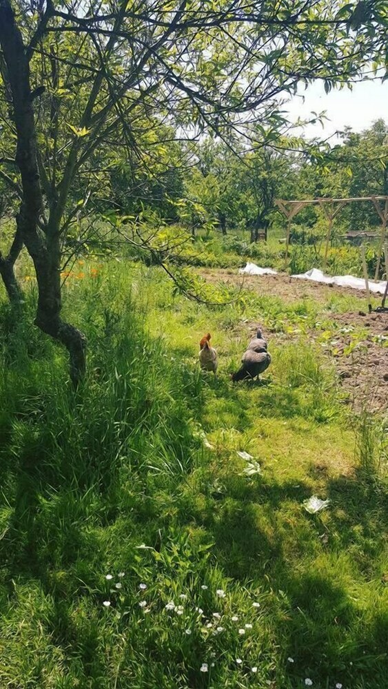 Apartamento R�ves Et Nature