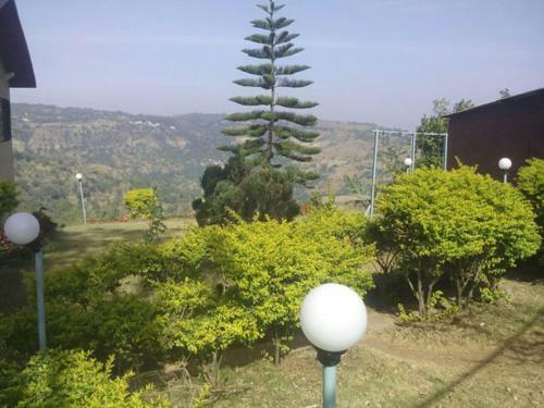 Valley View Bunglow