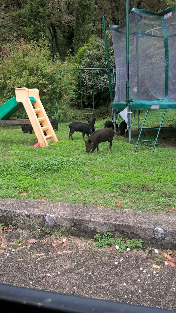 Agroturismo Agriturismo B&B La Selva
