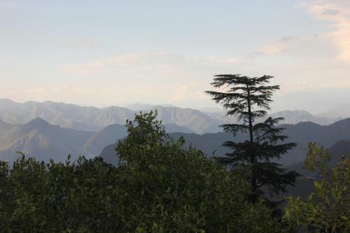 Bed & Breakfast Chandruma Cottage