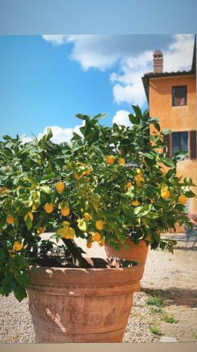 Agroturismo Fattoria Di Catignano