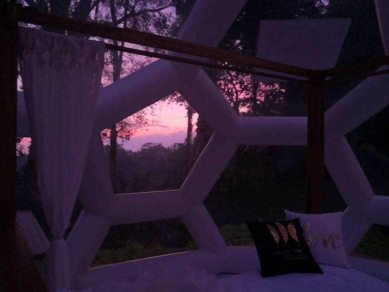 Jungle Bubble Lodge Ubud - Campsite