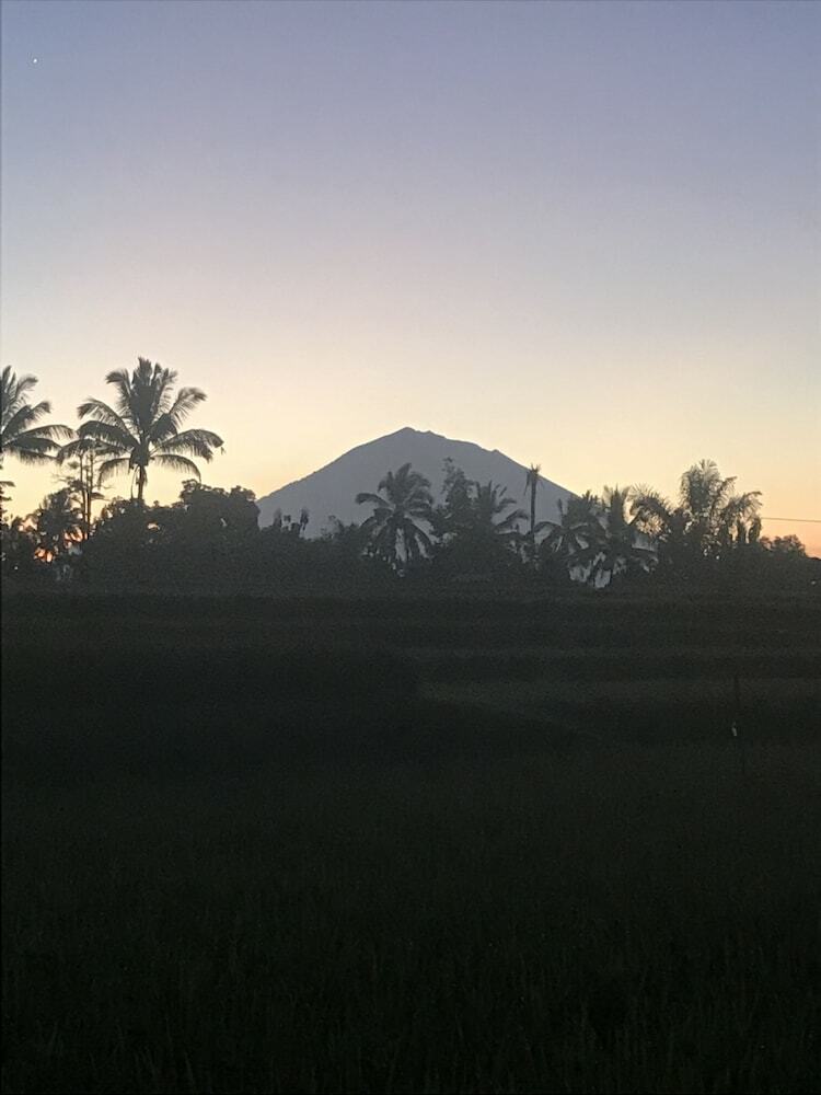 Jungle Bubble Lodge Ubud - Campsite