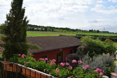 Agroturismo Agriturismo Mulino Bianco