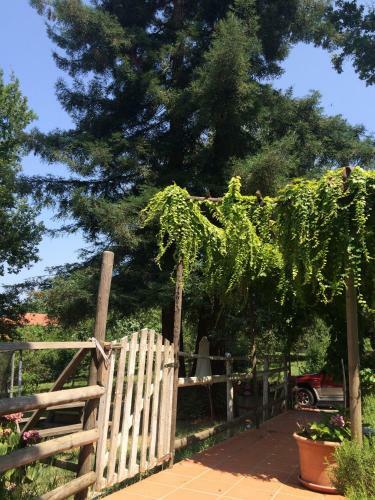 Bed & Breakfast Fattoria Sequoia