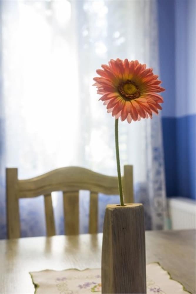 Ani 1 - Apartment Ani 1