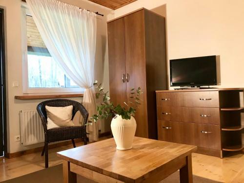 Apartamento O?upyn?
