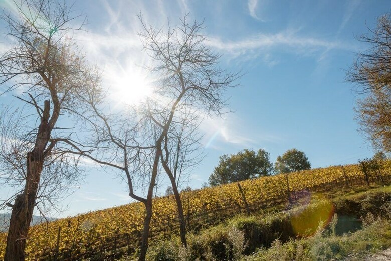 Agroturismo Podere Dell'anselmo