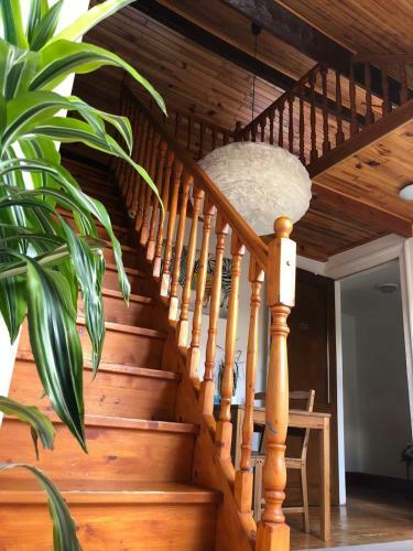 B&B Ambiorix