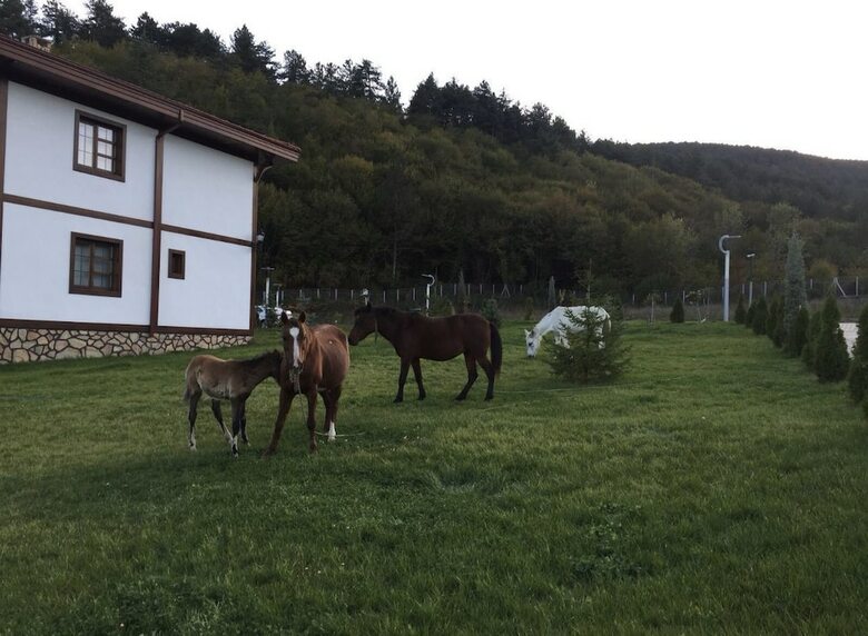 Mengen Ruya Ciftligi Hotel
