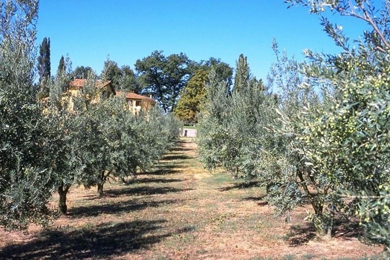 Agroturismo Campitello Farmhouse