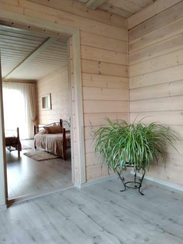 Hostal Voskresenskaya Dacha