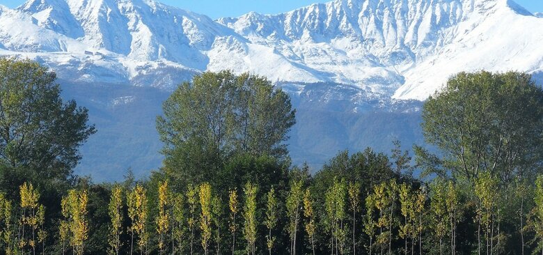 Bed & Breakfast Cascina Marie