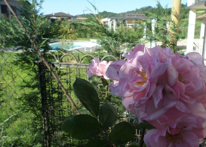 Apartamentos Laura's Country Resort
