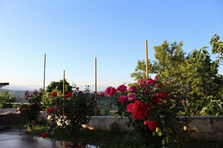 Bed & Breakfast Tetto Verde