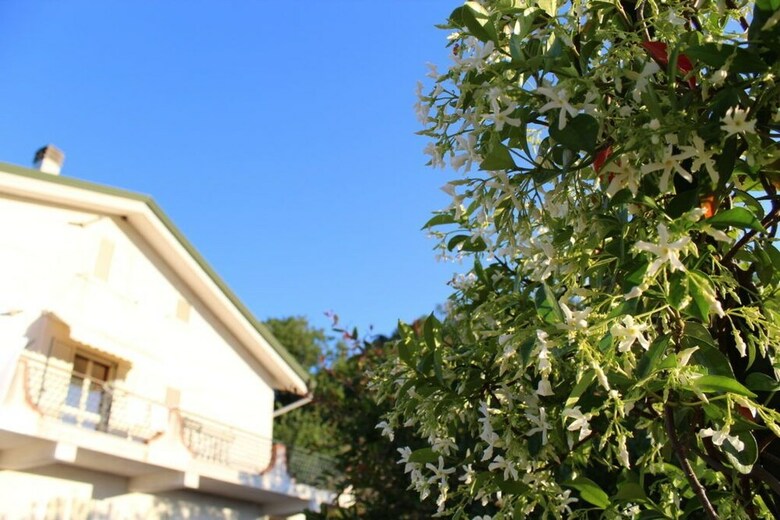 Bed & Breakfast Tetto Verde