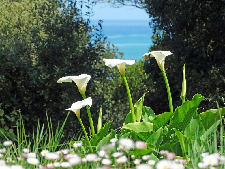 Agroturismo Landarte
