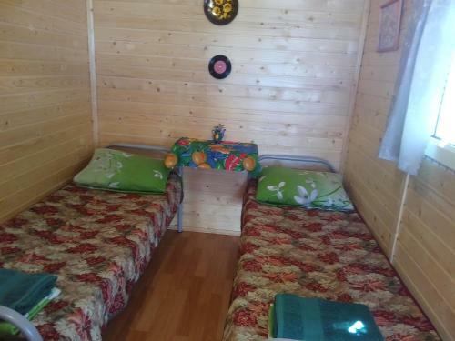 Campsite Makashevskie Dvoriki