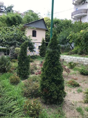 Hostal Guest House U Vadima