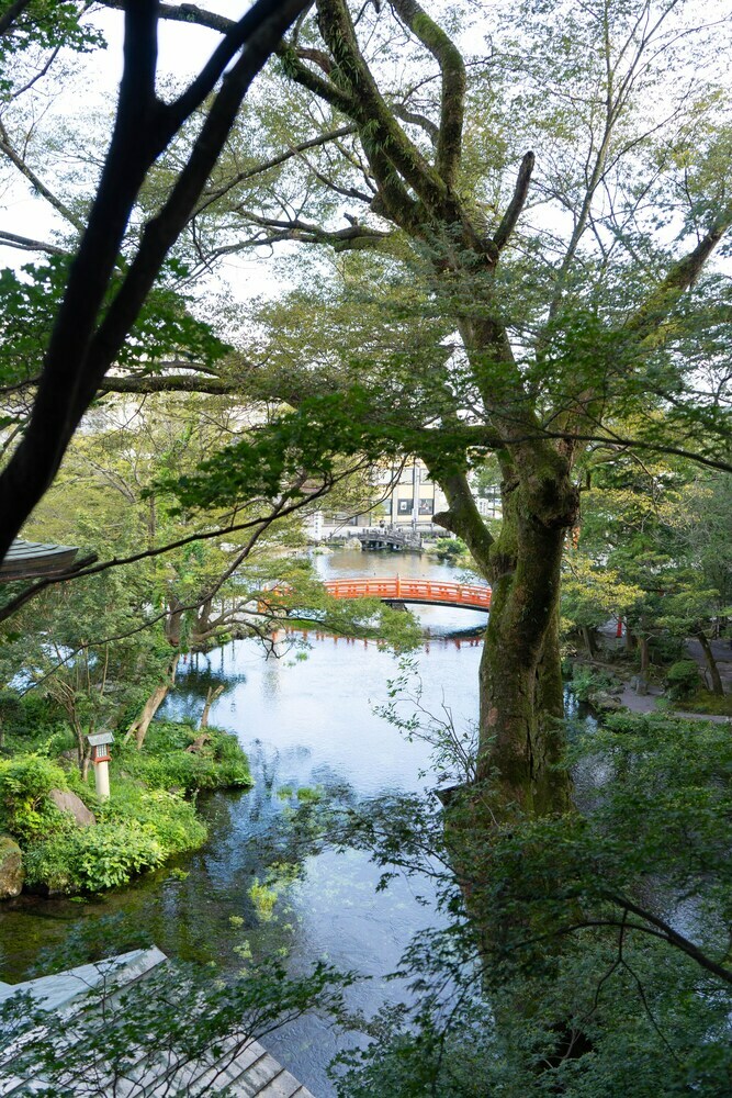 Hostal Guest House Kikusui Mount Fuji - Hostel