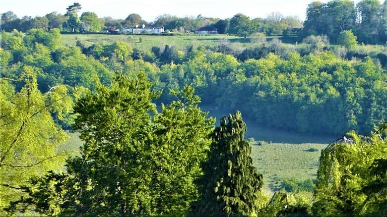 Ranmore Rise Bed And Breakfast