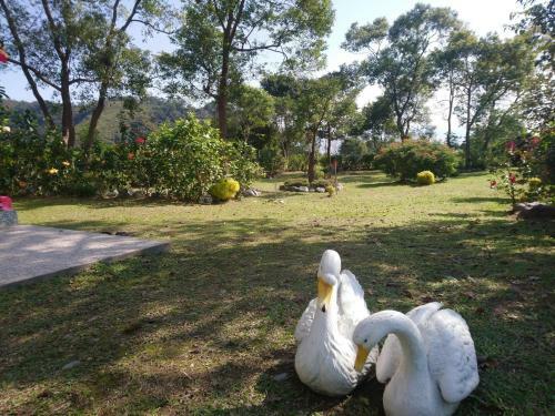 One Taitung
