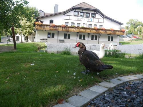 Hotel Burg Hof
