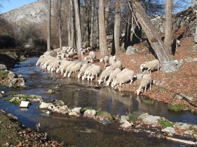 Agroturismo Casa Rural El Nacimiento