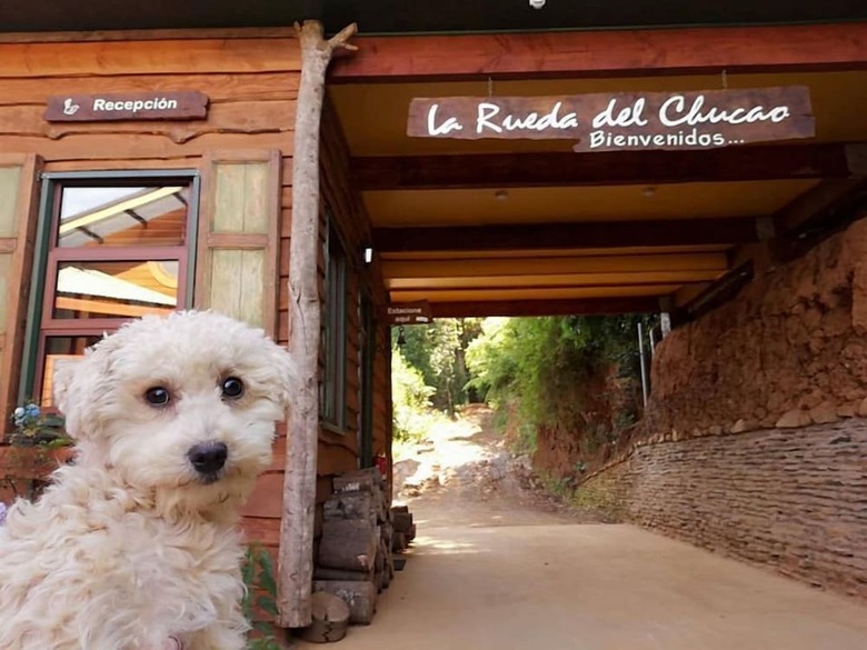 Villa La Rueda Del Chucao