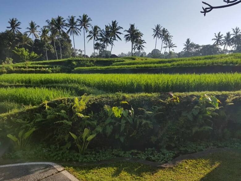 Bed & Breakfast Puri Raya Villa Ubud