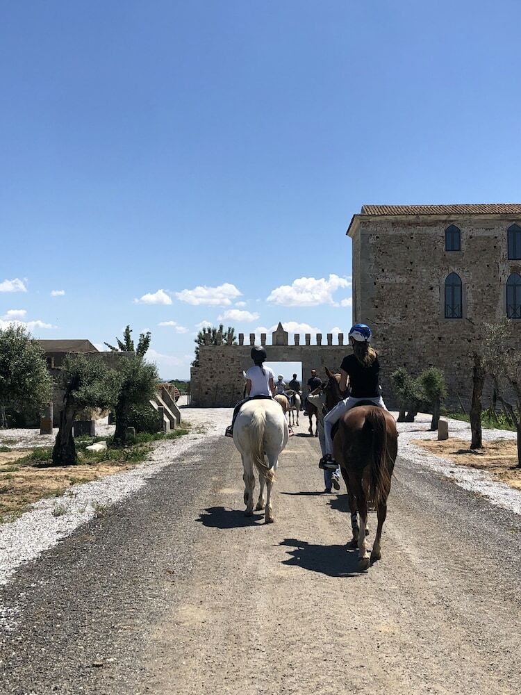 Agroturismo Oliveirinha Country House