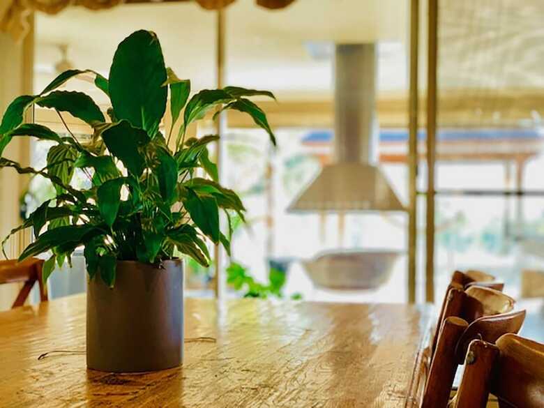Grand Gippsland Home Sleeps Up To 28