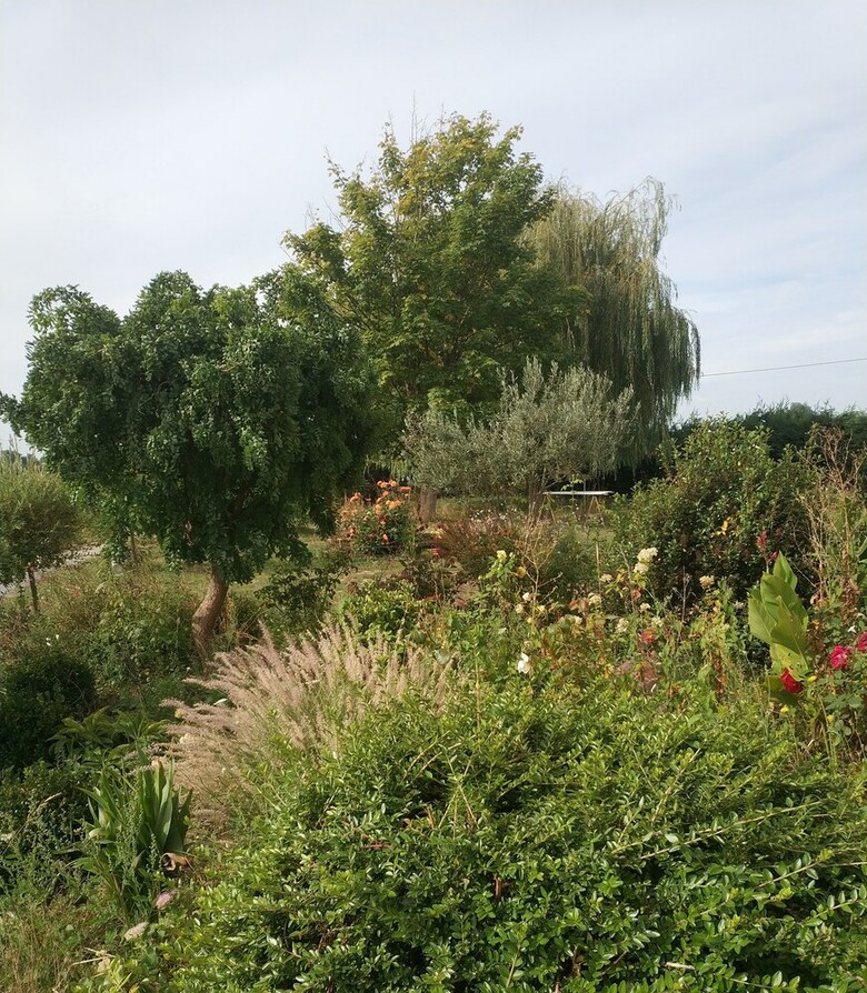 Bed & Breakfast Les Nuits Safran�es
