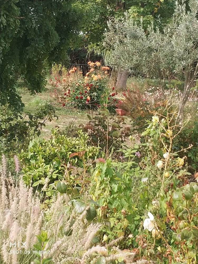 Bed & Breakfast Les Nuits Safran�es