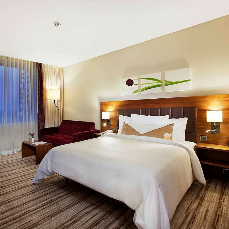 Hotel Hilton Garden Inn Konya Turkey