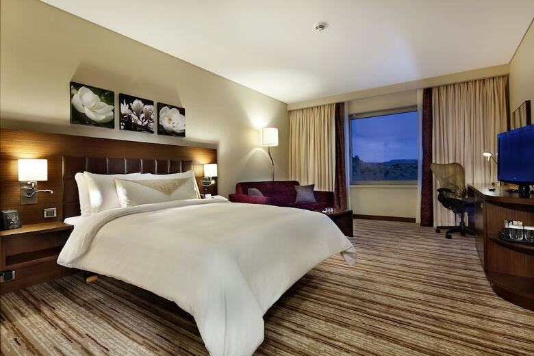 Hotel Hilton Garden Inn Konya Turkey