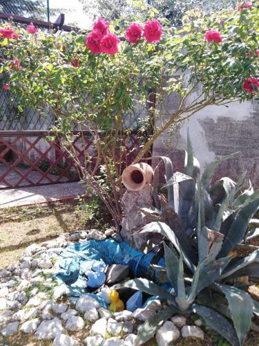 Bed & Breakfast Dolce Risveglio