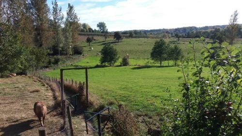 B&B De Pastorie
