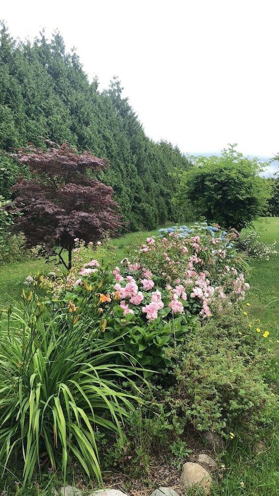 Cedar Manor Bed And Breakfast