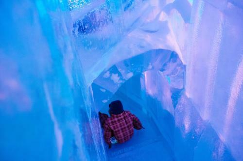 Hotel De Glace
