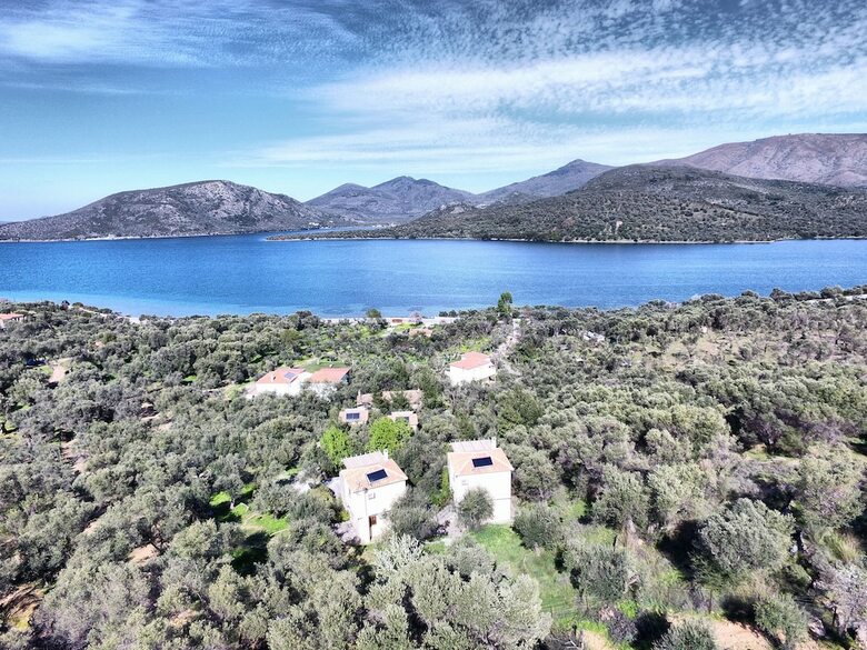 Hotel Gera's Olive Grove