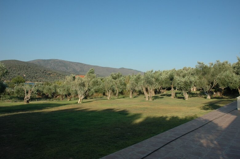 Hotel Gera's Olive Grove
