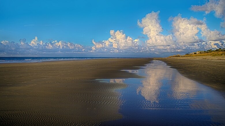 Apartamento Disney's Hilton Head Island Resort